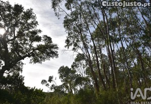 imagem_26