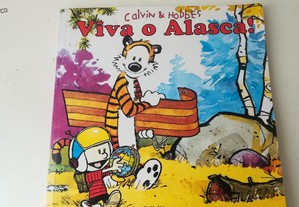 imagem_7