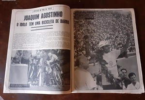 imagem_2