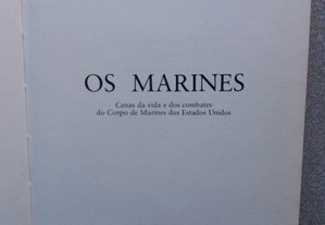 imagem_3