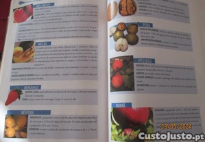 imagem_8