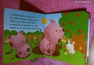 imagem_4