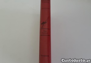 imagem_2