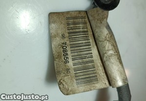 imagem_2
