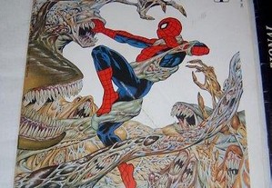 Graphic Marvel homem aranha