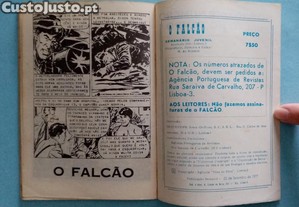 imagem_7