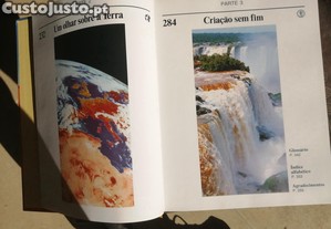 imagem_5