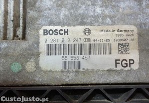 imagem_2