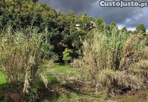 Terreno Agrícola em Mexilhoeira Grande
