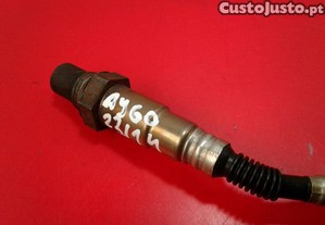 imagem_3