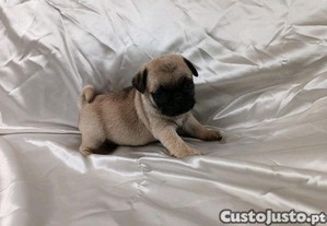 imagem_3