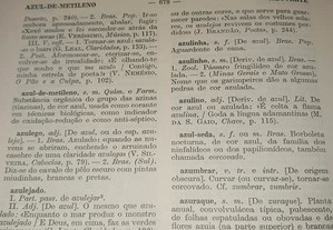 imagem_7