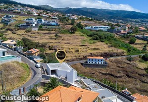 imagem_5