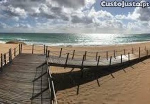 imagem_15