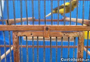 imagem_5