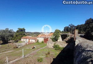 imagem_19