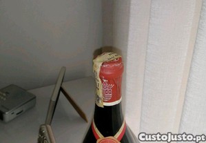 imagem_6