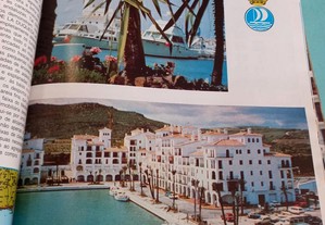 imagem_3