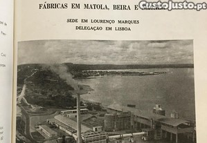 imagem_8