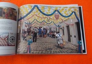 imagem_7