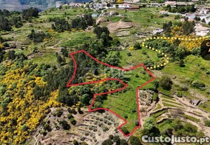 Casa C/ Terreno De 4437M2 Em Santa Marta De...