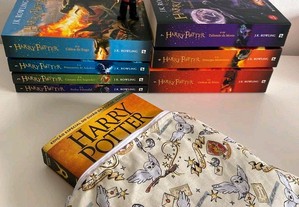 Booksleeve (Harry Potter)