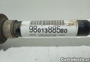 imagem_2