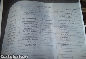 PUROS LUZITANOS Poldros Cavalos e Eguas credito em 60 meses