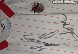 imagem_6