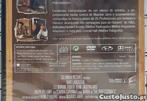 imagem_6