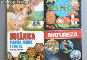 imagem_5
