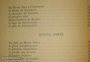 imagem_4