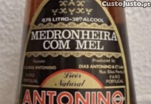 imagem_1