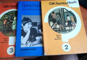 Lote de 5 Livros Escolares de alemão dos anos 80