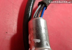 imagem_4