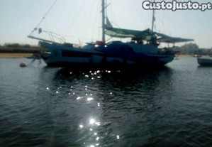 imagem_6
