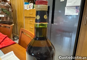 imagem_6