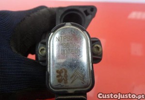 imagem_4