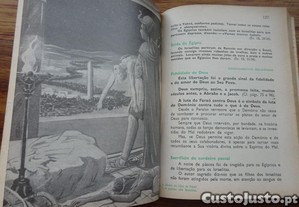 imagem_5