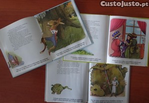 imagem_3