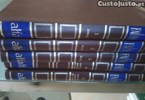 imagem_1