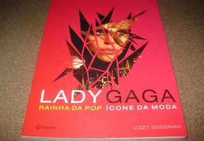 Livro da Lady Gaga "Rainha da POP"de Lizzy Goodman