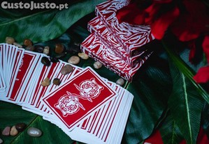imagem_6