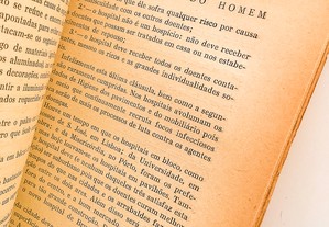 imagem_6