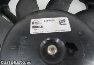 imagem_7
