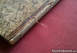 imagem_11