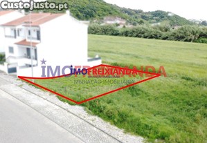 imagem_1