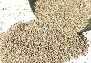 Vermiculite (Substrato p/ Plantas Carnívoras) 2 L