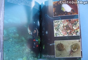 imagem_6