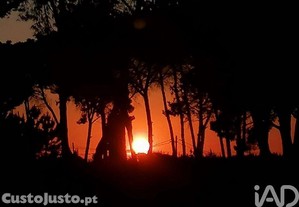 imagem_12